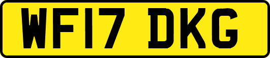 WF17DKG