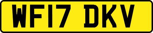 WF17DKV