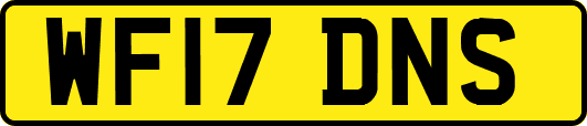 WF17DNS