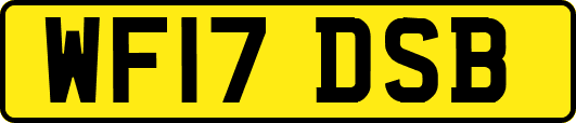 WF17DSB