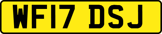 WF17DSJ