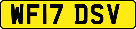 WF17DSV