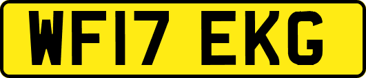 WF17EKG