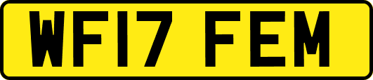 WF17FEM