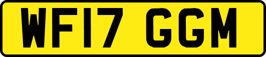WF17GGM