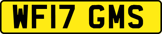 WF17GMS