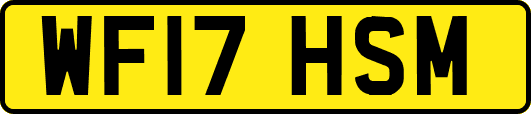WF17HSM
