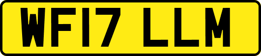 WF17LLM