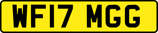 WF17MGG