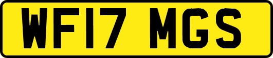 WF17MGS