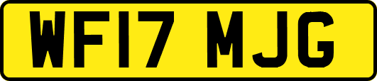 WF17MJG