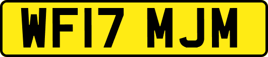 WF17MJM