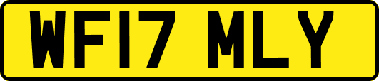 WF17MLY