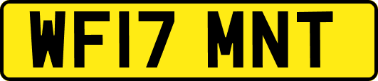 WF17MNT