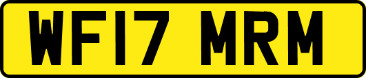 WF17MRM