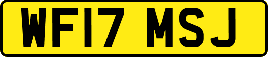 WF17MSJ