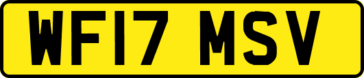WF17MSV