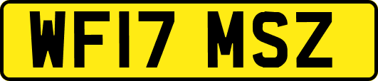 WF17MSZ