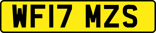 WF17MZS