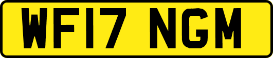 WF17NGM