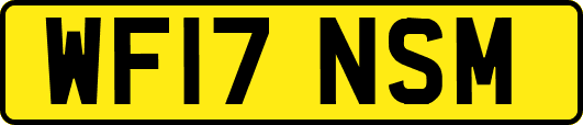WF17NSM