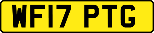 WF17PTG