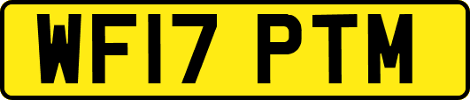 WF17PTM
