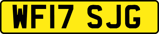WF17SJG