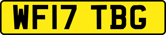 WF17TBG