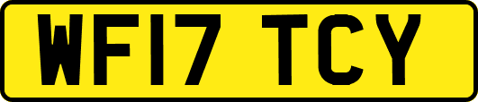 WF17TCY
