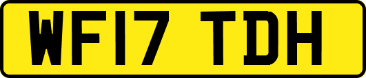 WF17TDH