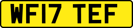 WF17TEF