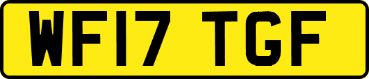 WF17TGF