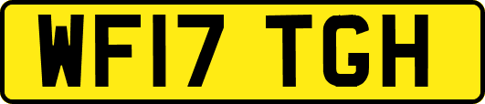WF17TGH
