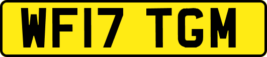 WF17TGM
