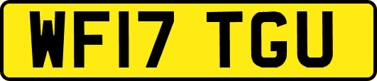 WF17TGU