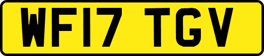 WF17TGV