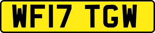 WF17TGW
