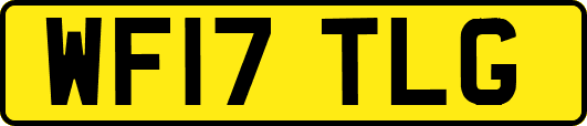 WF17TLG