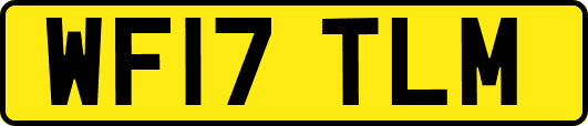 WF17TLM