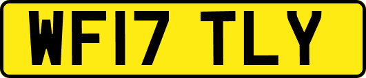 WF17TLY