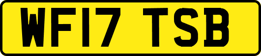 WF17TSB