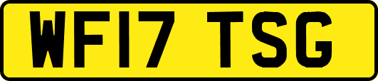 WF17TSG