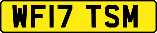 WF17TSM