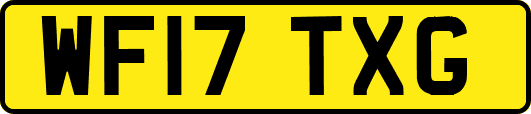 WF17TXG
