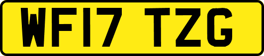 WF17TZG