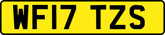 WF17TZS