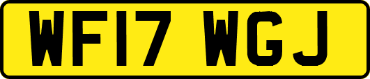 WF17WGJ