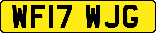 WF17WJG