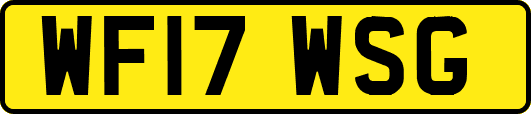 WF17WSG